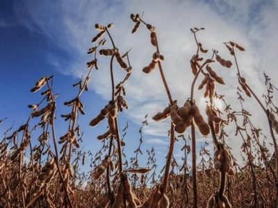 Crédito Sérgio Sanderson