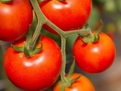 Crédito Shutterstock