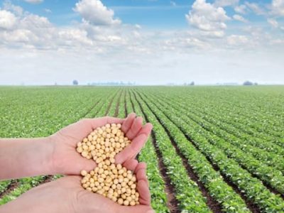 Crédito Shutterstock