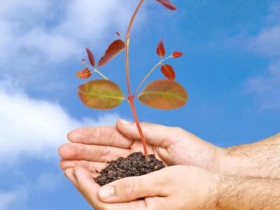 Crédito Shutterstock