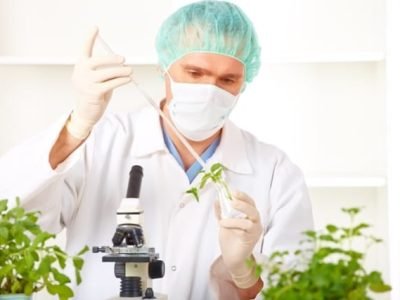 Crédito Shutterstock