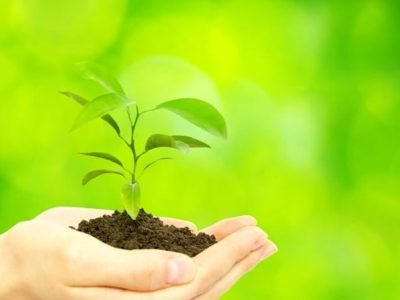 Crédito Shutterstock