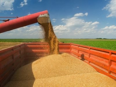 Crédito Shutterstock