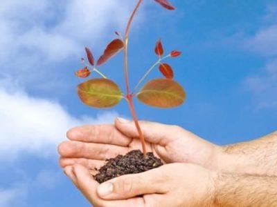 Crédito Shutterstock