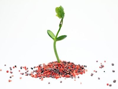 Crédito Shutterstock