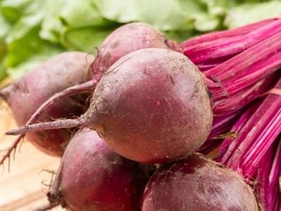 Crédito Shutterstock