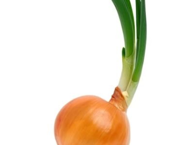 Crédito Shutterstock