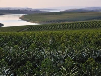 Foto-01-Crédito-Shutterstock