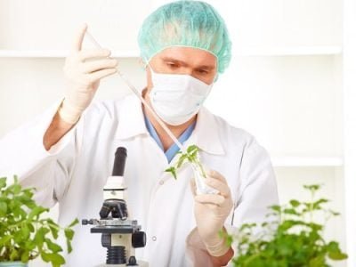 Crédito Shutterstock