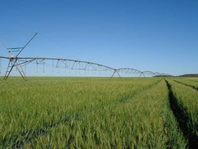 Crédito Shutterstock