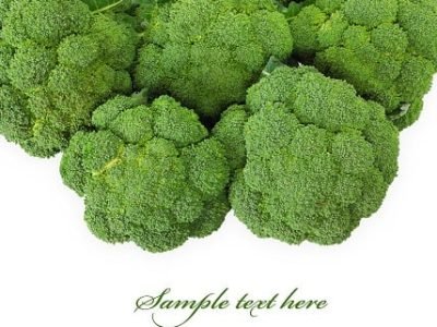 Crédito Shutterstock