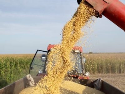 Crédito Shutterstock