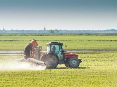 Crédito Shutterstock