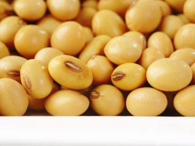 Foto 01 - Crédito Shutterstock