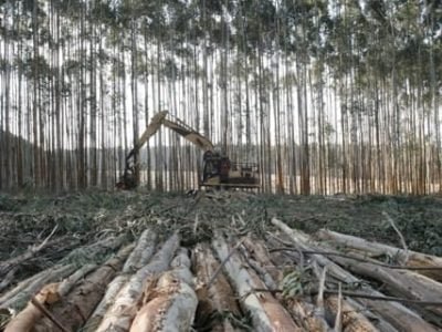 Crédito Shutterstock