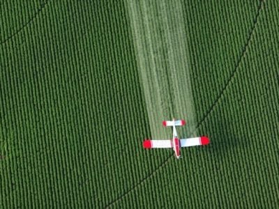 Crédito Shutterstock