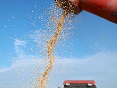 Crédito Shutterstock