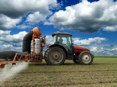 Crédito Shutterstock