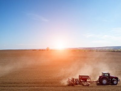 Crédito Shutterstock