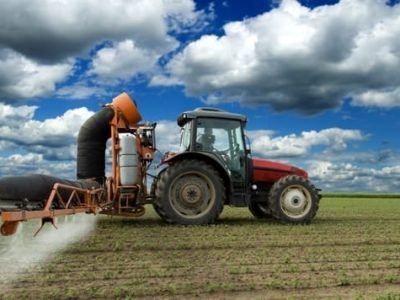 Crédito Shutterstock