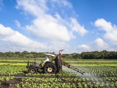 Crédito Shutterstock