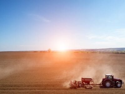 Crédito Shutterstock