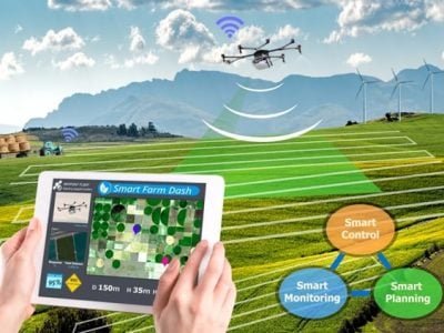 Crédito Shutterstock