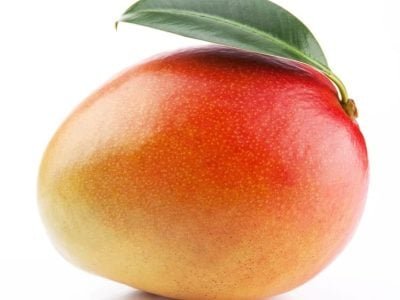 Crédito Shutterstock