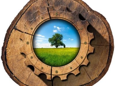 Crédito Shutterstock