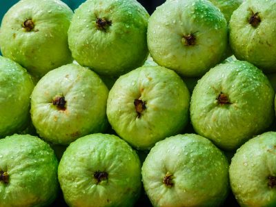 Crédito Shutterstock