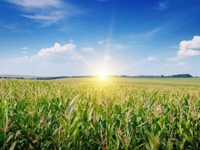 Crédito Shutterstock