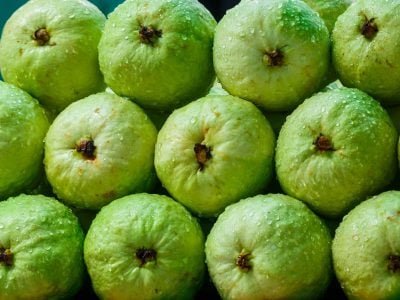 Crédito Shutterstock