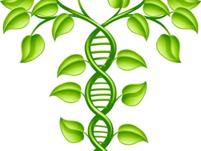 Crédito Shutterstock