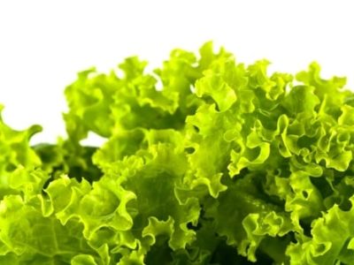 Crédito Shutterstock