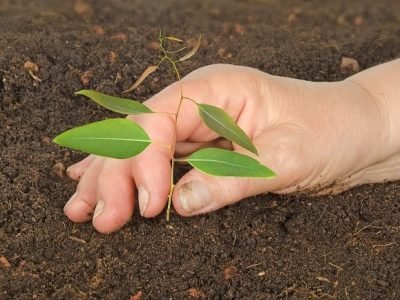 Crédito Shutterstock