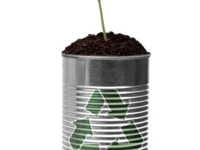 Crédito Shutterstock