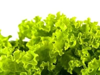 Crédito Shutterstock