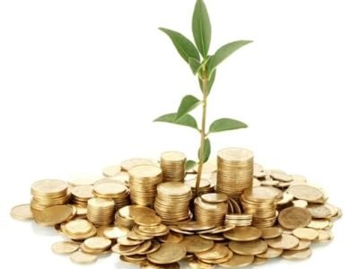 Crédito Shutterstock