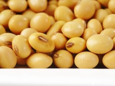 Crédito Shutterstock