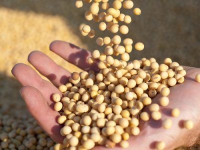 Crédito Shutterstock