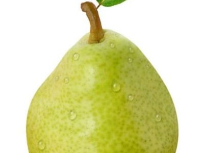 Crédito Shutterstock