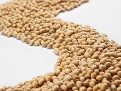 Crédito Shutterstock