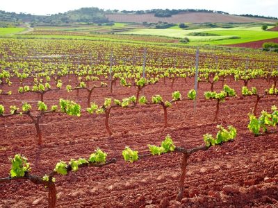 Foto 01- Crédito Shutterstock