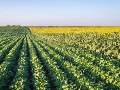 Crédito Shutterstock