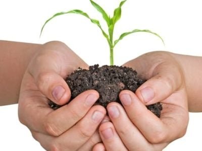 Crédito Shutterstock