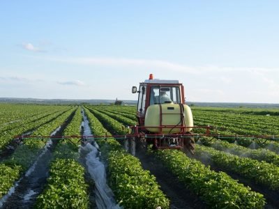 Crédito Shutterstock