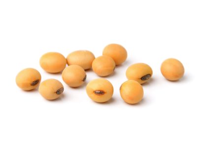 Crédito Shutterstock