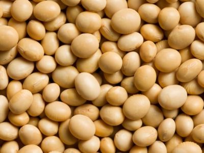 Crédito Shutterstock