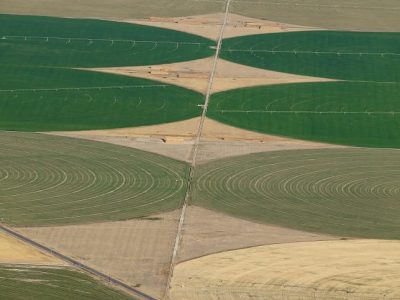 Crédito Shutterstock