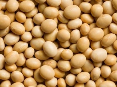 Crédito Shutterstock